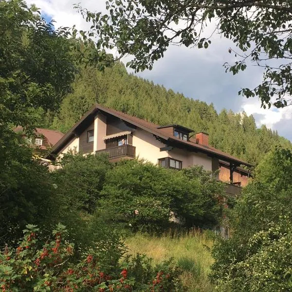 Haus Agnes, Murau，位于穆劳的酒店