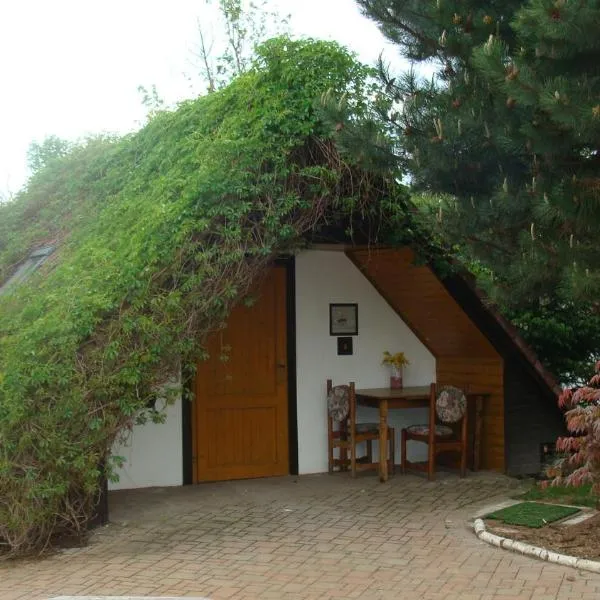 查理汽车旅馆，位于Kovač的酒店