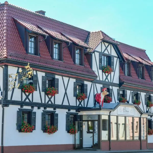 奥赫森酒店，位于贝格豪普滕的酒店