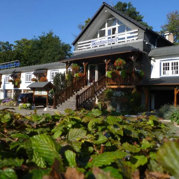 Hotel Restaurant Les Pins logis，位于阿格诺的酒店