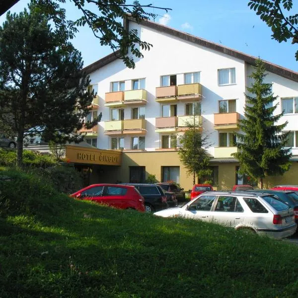 斯洛伐克拉吉辛格夫酒店，位于Iliašovce的酒店