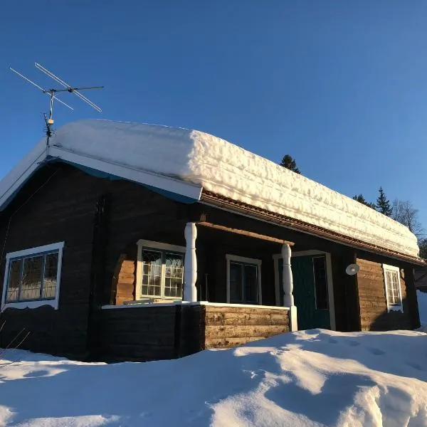 Vasa Ski Lodge，位于艾尔夫达伦的酒店