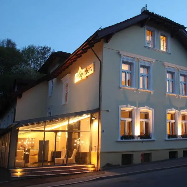 斯彼兹伯格加尼酒店，位于Thyrnau的酒店
