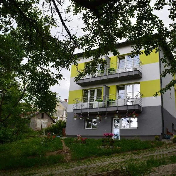 Guest House at Lesya Ukrainka，位于斯基希德尼萨的酒店