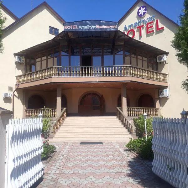 Ametist，位于Verkhniy Koropets的酒店