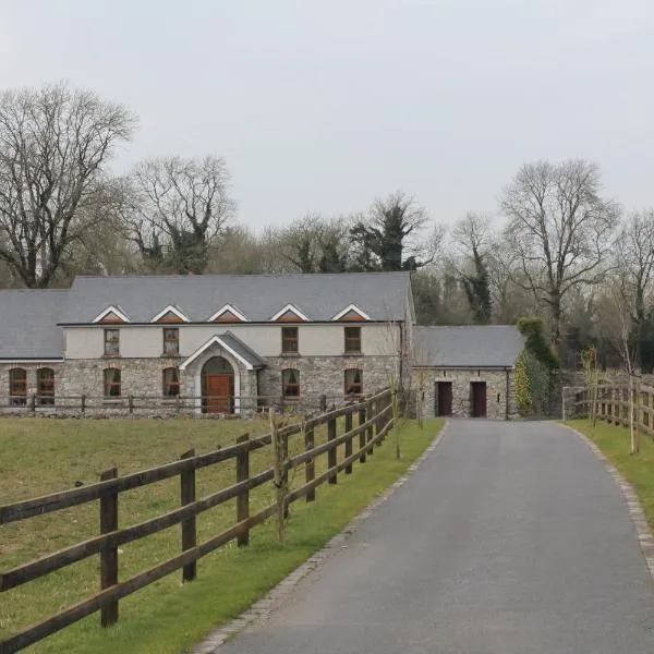 Moynure House Boutique B&B，位于Clonmacnoise的酒店