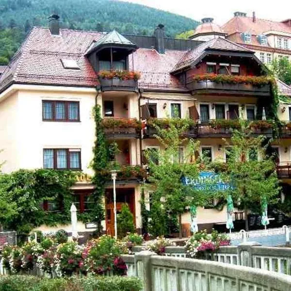 Hotel Restaurant Alte Linde，位于巴特维尔德巴德的酒店