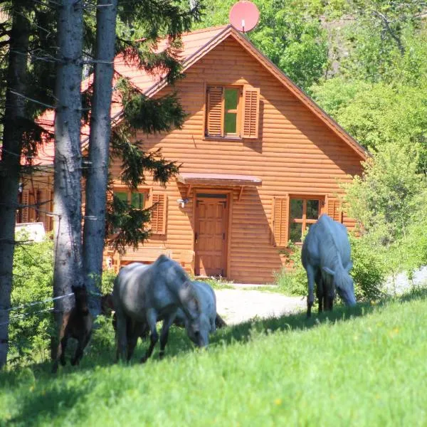 Sternen-Chalet，位于Frauenstein的酒店