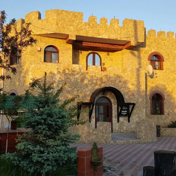 Royal Castle，位于Tîrgu Frumos的酒店