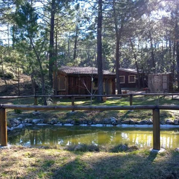 Cabaña en pleno parque natural del río mundo，位于Molinicos的酒店