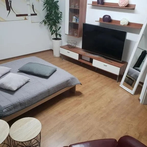 Gemütliches Zimmer mit eigenem Bad/WC/Küche，位于卡塞尔的酒店