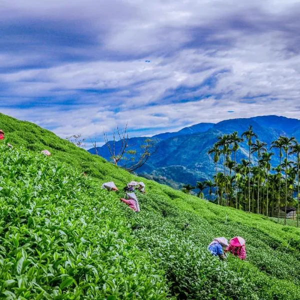 鹭露茶居，位于梅山乡的酒店