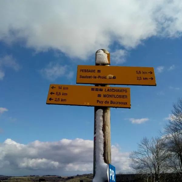 Gîte au pied des volcans d'Auvergne Aydat，位于艾达的酒店