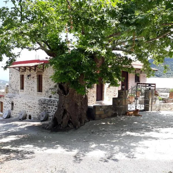 Traditional House Koukounara，位于Plokamianá的酒店