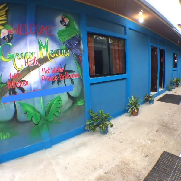 Green Macaw Hostel，位于Jaloba的酒店