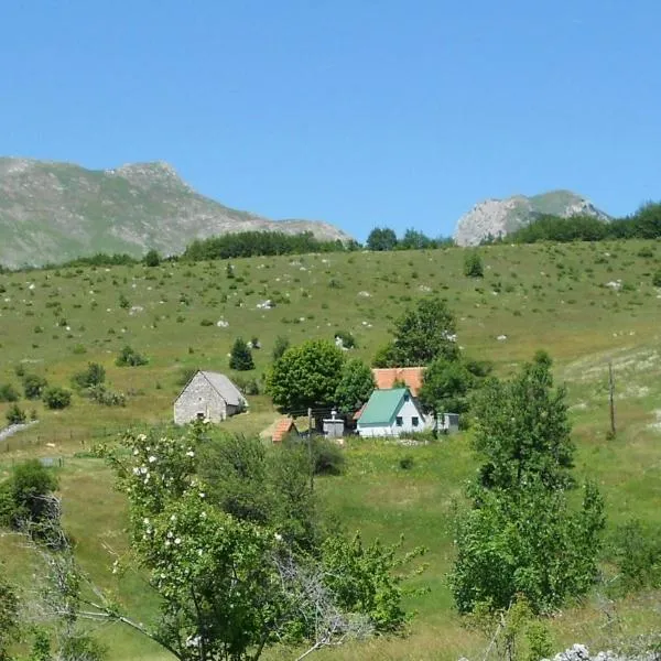 Suri，位于Polje Pluzine的酒店