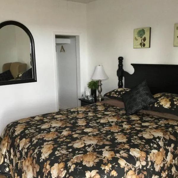 布里奇沃特斯旅馆，位于Johnstown的酒店