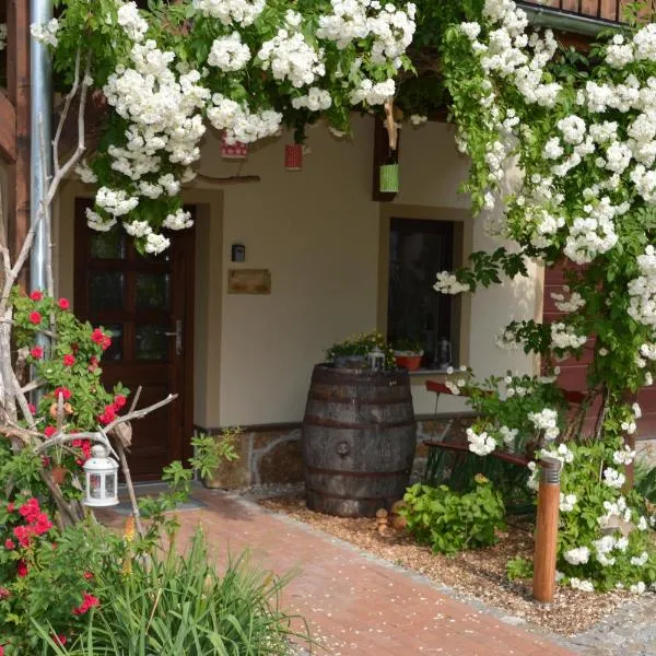 Ferienappartements "Landromantik"，位于Niedergurig的酒店