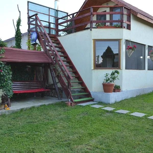 Casa Chitu，位于Dunavăţu de Sus的酒店