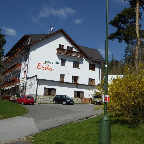 埃里卡旅馆，位于Vysoke Tatry - Tatranska Lesna的酒店