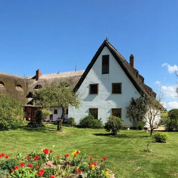 Die Insel auf Rügen，位于Gustow的酒店