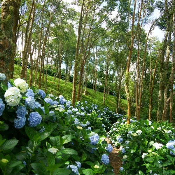青山农场民宿，位于太麻里的酒店