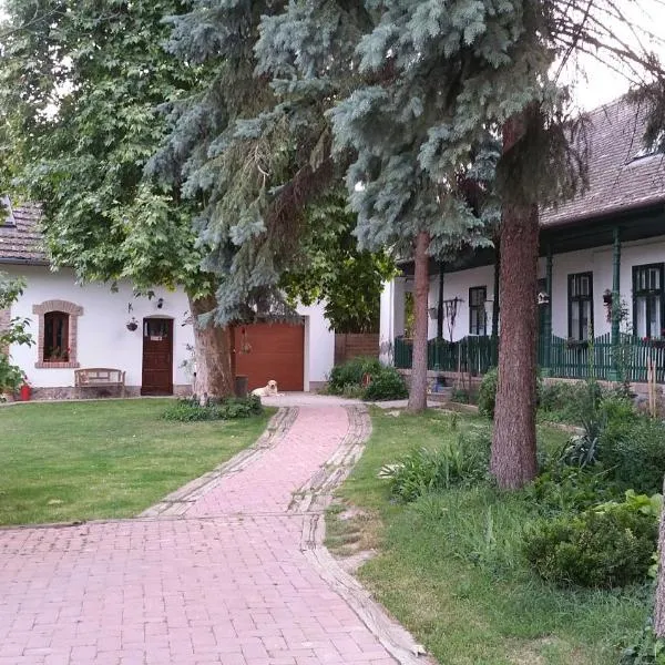 阿帕德哈兹旅馆，位于Alsónána的酒店
