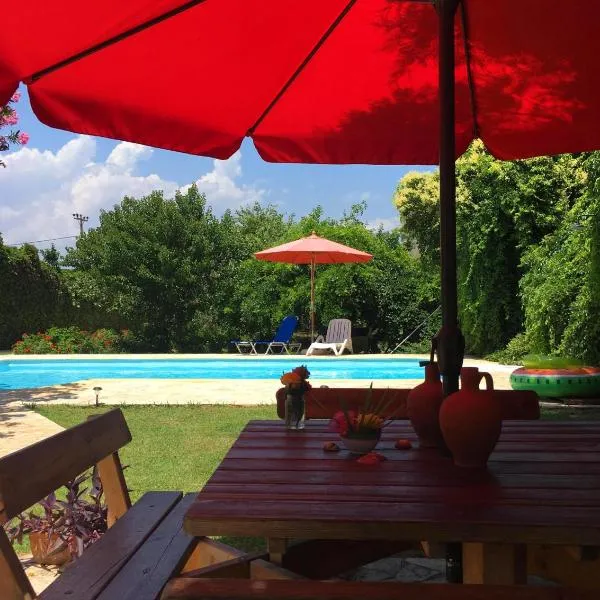 Villa Alkyon - Dreamy 3BR, Pool & BBQ next to Varnavas Beach，位于Áyioi Apóstoloi的酒店