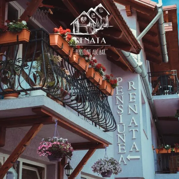 Pensiunea Renata，位于Şimleu Silvaniei的酒店