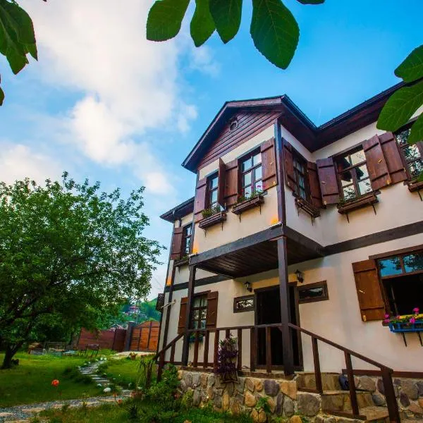 Şamlıoğlu Historical Villa，位于特拉布宗的酒店