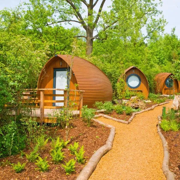 Glamping Resort Biosphäre Bliesgau，位于小布利特斯多夫的酒店