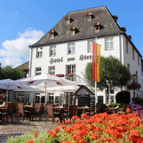 Hotel Zum Stern，位于Schalkenbach的酒店