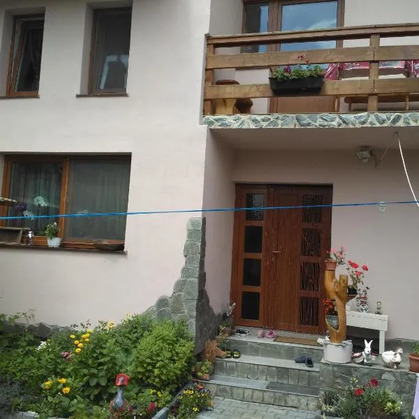 Casa Teo，位于锡比乌盐矿镇的酒店