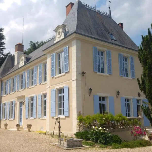 Manoir de la Voute maison d'hôtes，位于Pouillé的酒店