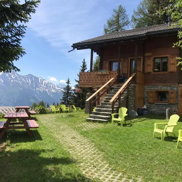 塔尼呐杜福特小木屋酒店，位于贝特默阿尔卑的酒店