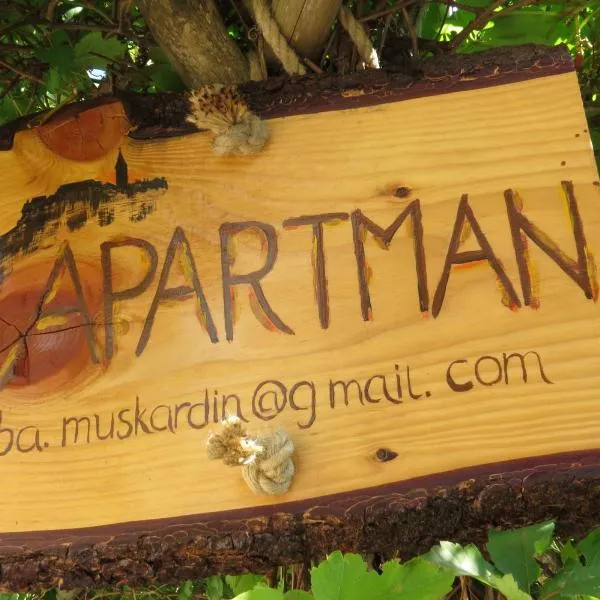 Apartman Biba，位于Vidović的酒店