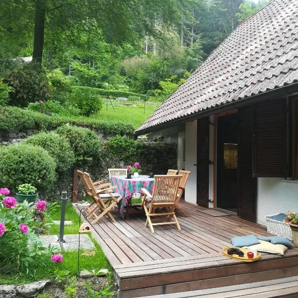 Chalet Iskaretreat，位于Ig的酒店