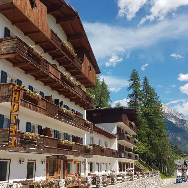 Hotel Des Alpes，位于科尔蒂纳丹佩佐的酒店