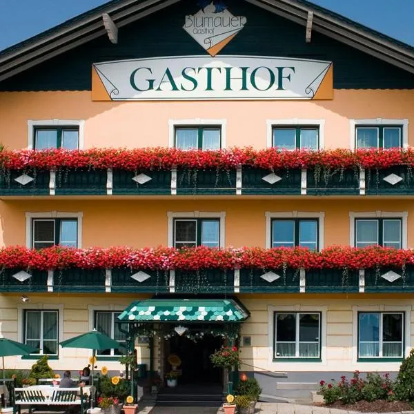 布鲁玛尔酒店，位于Grünbach的酒店
