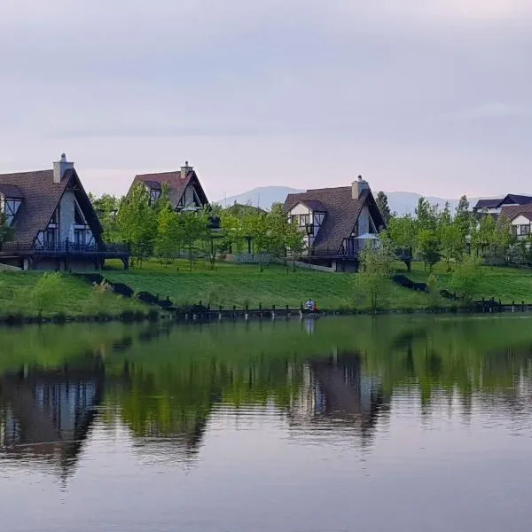 萨基特古尔 - 静湖度假村，位于Dimitrovka的酒店