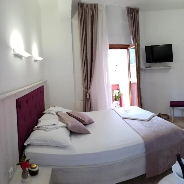 Apis Hotel，位于Donje Čičevo的酒店