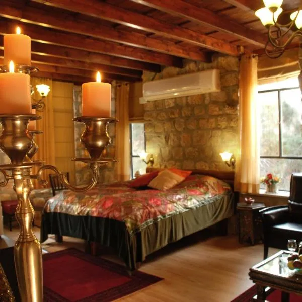 Beit Shalom Historical boutique Hotel，位于舍亚尔雅舒弗的酒店