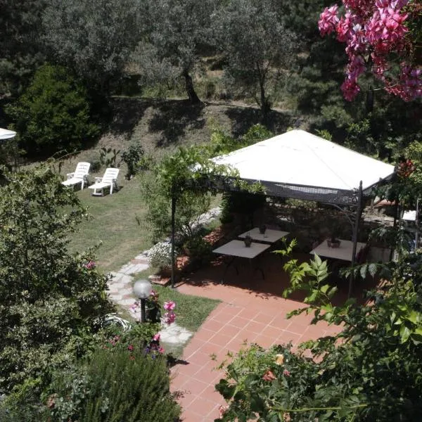 Casa Virgilio，位于Rometta的酒店