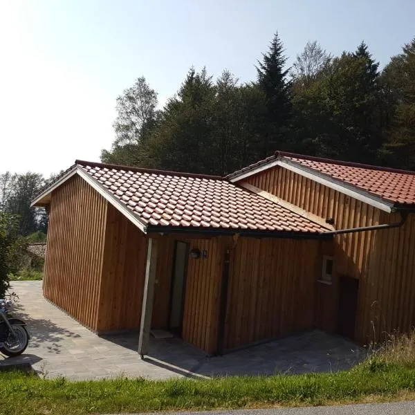 Ferienbungalow Sonnenwald Bayerischer Wald，位于Schöfweg的酒店