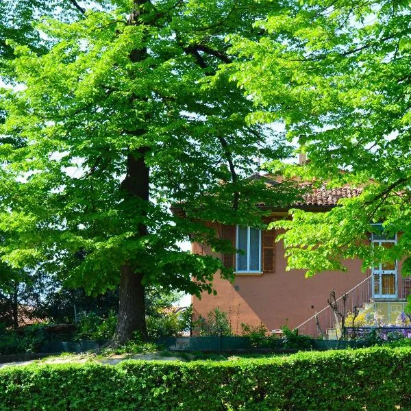 伊杰尼尔奈帕可住宿加早餐旅馆，位于博洛尼亚的酒店