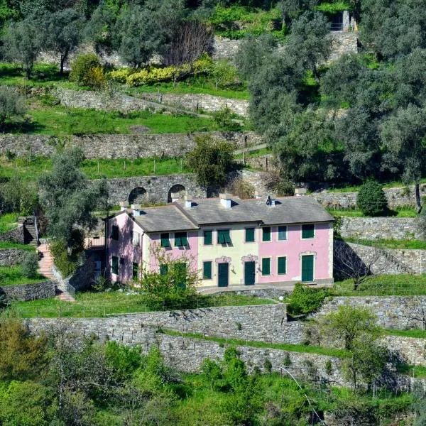Villa Olivari - apt la Lavanda，位于卡莫利的酒店