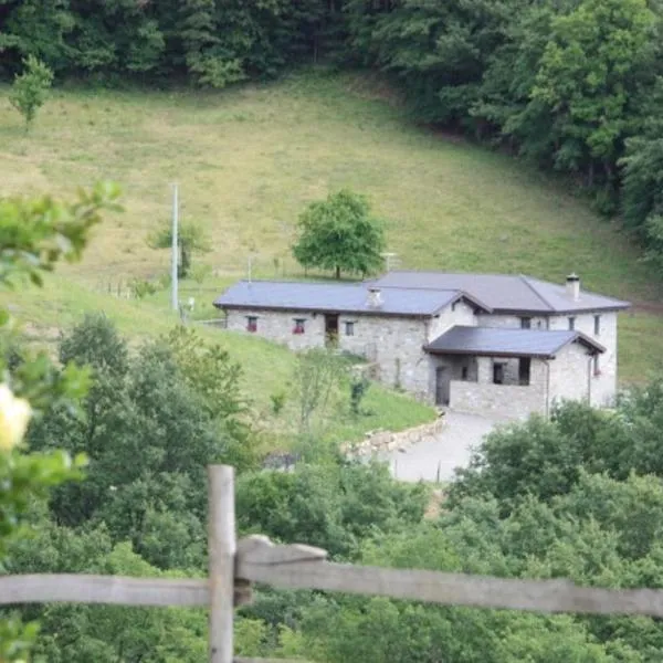 Agriturismo Le Querciole，位于贝尔切托的酒店