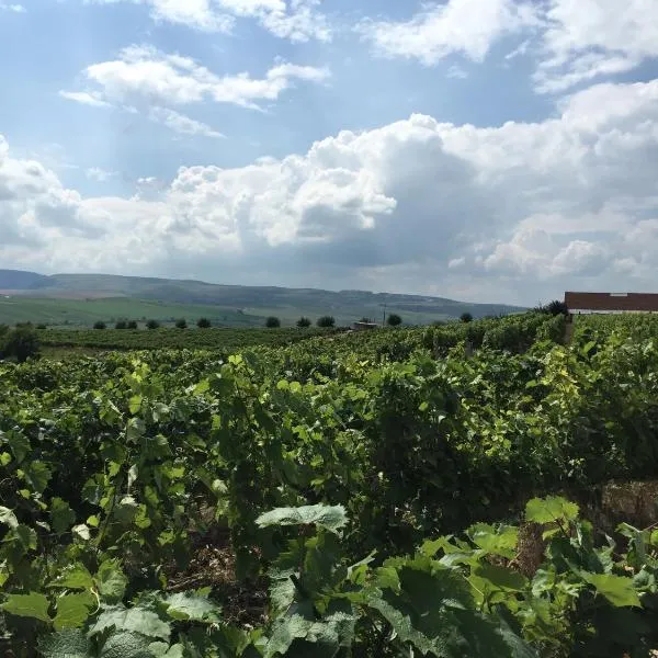 Wineyards Salin，位于Copăceni的酒店