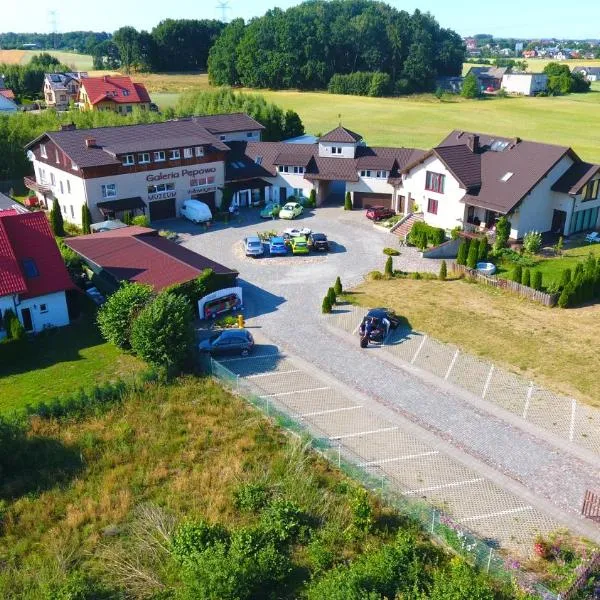 加莱里亚沛珀沃旅馆，位于茹科夫的酒店