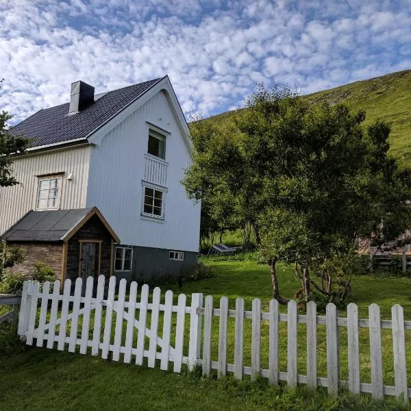 North Cape family lodge，位于霍宁斯沃格的酒店